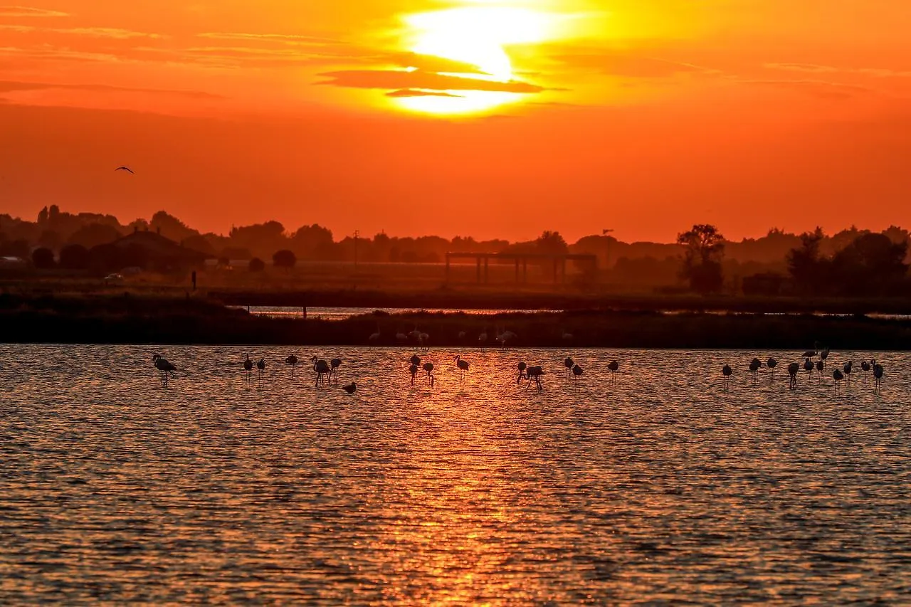 Hotel Riziana Cervia